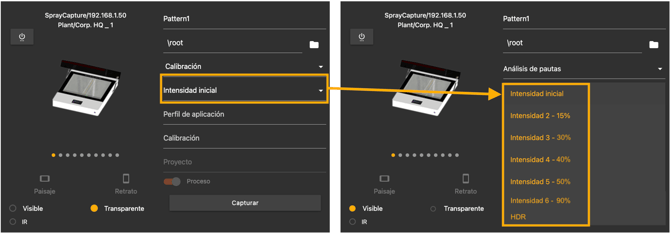 light intensity spanish final